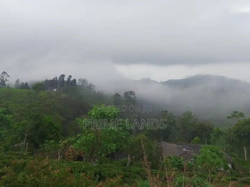 Valuable Land for Sale in Kandy Nillabe
