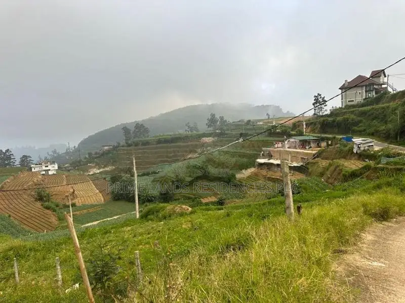 Lands for Sale in Ambewela