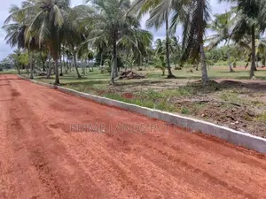 Anuradhapura Nachchaduwa Road New Land for Sale