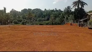 කළුතර නගරයෙන් වටිනා බිම් කොටස
