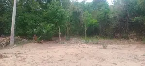 Land for Sale - Hambanthota