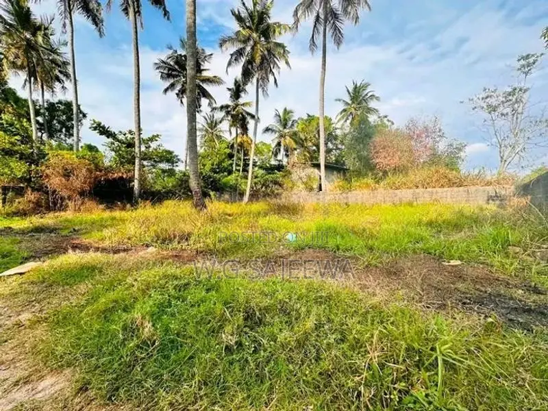 Valuable Land for Sale in Ja Ela