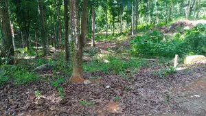 Land for Sale in Nelumdeniya