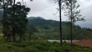 Valuable Land for Sale in Pussellawa Delta Estate