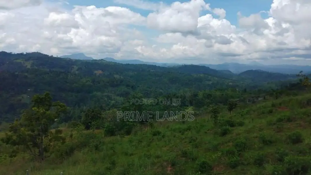 Valuable Land for Sale in Kandy Nillabe