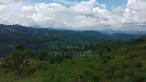 Valuable Land for Sale in Kandy Nillabe