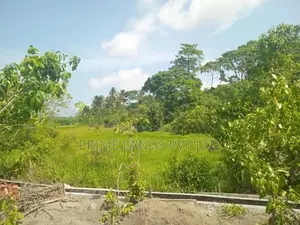 Lands for Sale in Ambalangoda