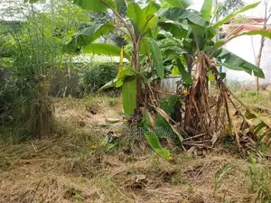 10 Perch Land for Sale Liyanagemulla, Negombo