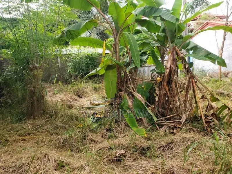 10 Perch Land for Sale Liyanagemulla, Negombo