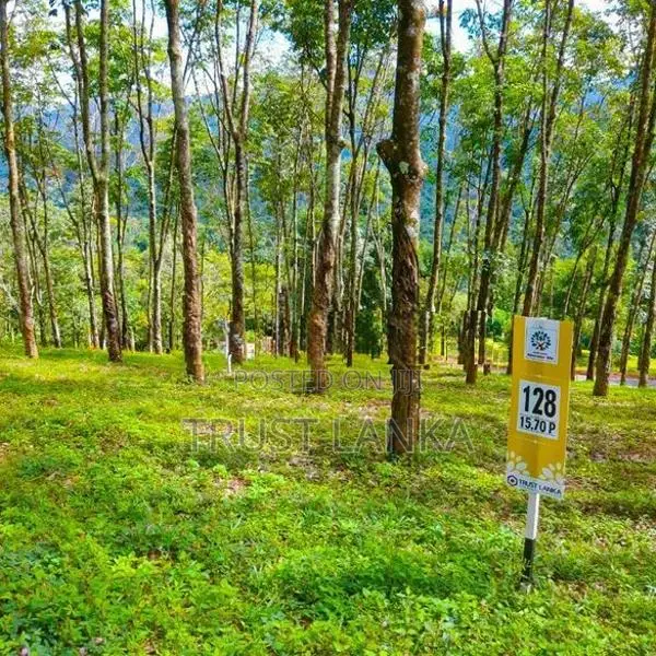 Prime Land for Sale in Matale