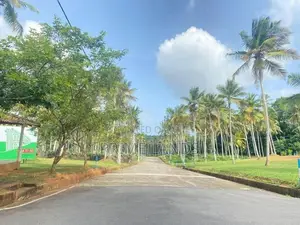 Land in Udugampola
