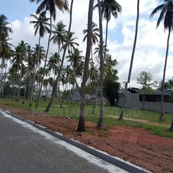 කුරුණෑගල පැල්ලන්දෙනිය හන්දියෙන් ඉඩමක් විකිණීමට