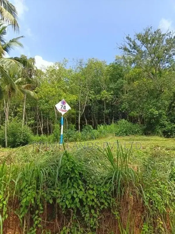 නාරම්මල ඉඩමක් විකිණීමට