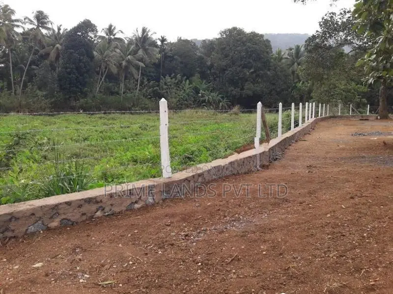 අලව්ව නගරයෙන් ඉඩමක් විකිණීමට