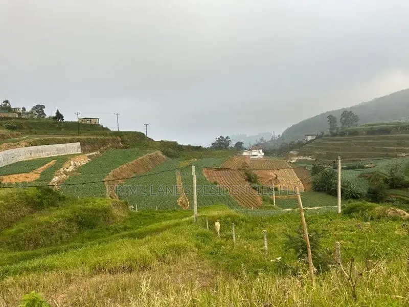 Lands for Sale in Ambewela