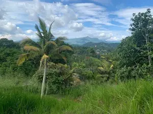 Lands for Sale in Ambathanna