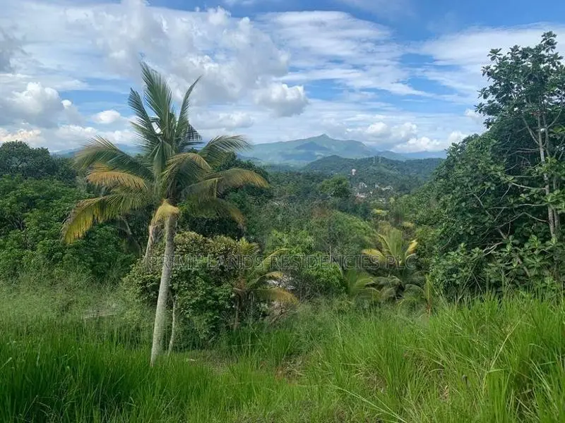 Lands for Sale in Ambathanna