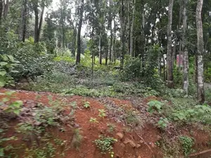 Lands for Sale in Nelumdeniya