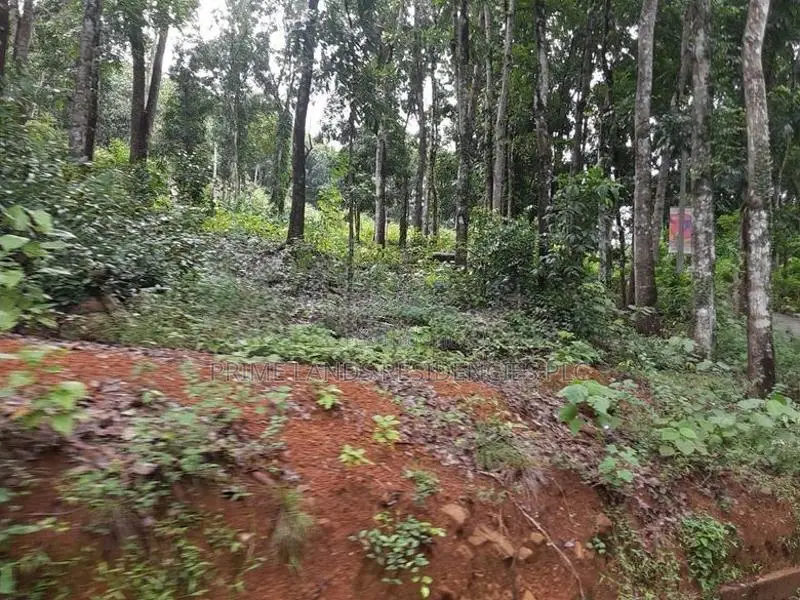 Lands for Sale in Nelumdeniya