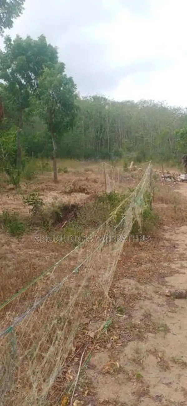 Land for Sale - Hambanthota
