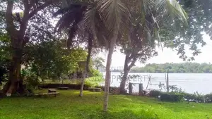 Water Front House for Sale in Bolgoda