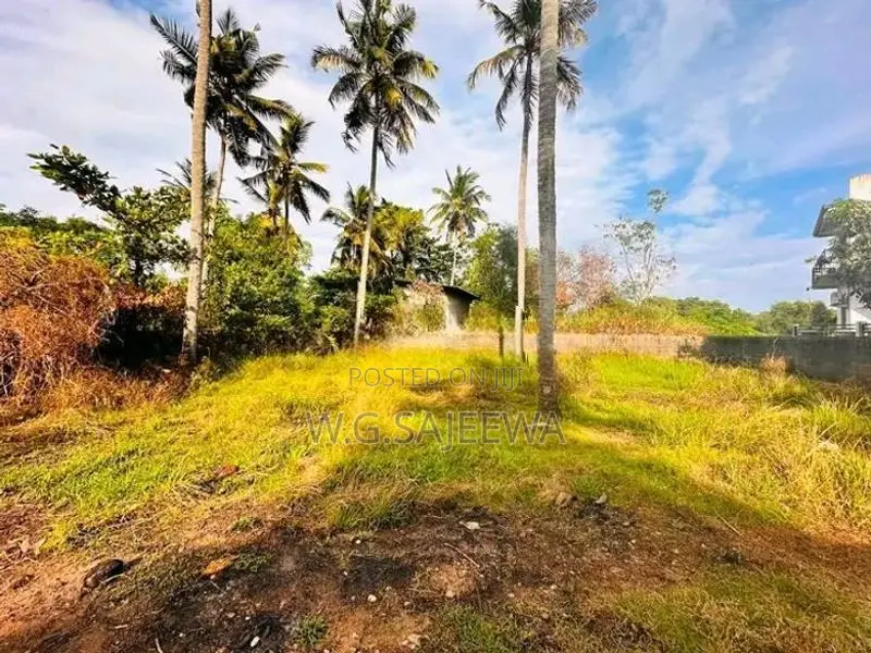 Valuable Land for Sale in Ja Ela