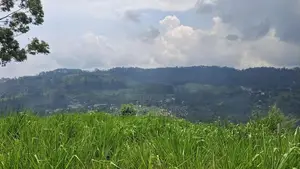 Beautiful Land for Sale in Pussellawa