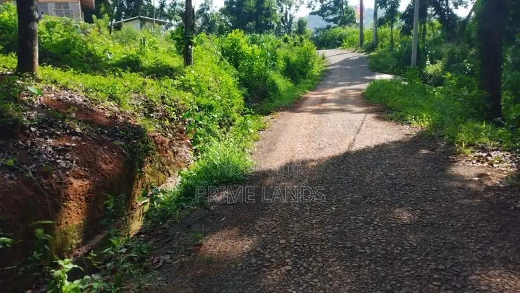 Land for Sale in Nelumdeniya