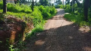 Land for Sale in Nelumdeniya