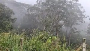 Land for Sale in Kandy Pussellawa