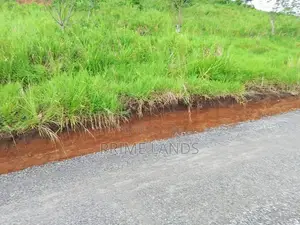 Valuable Land for Sale in Kandy Nillabe