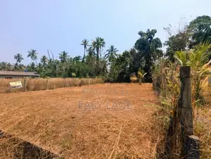 Land for Sale in Divulapitiya