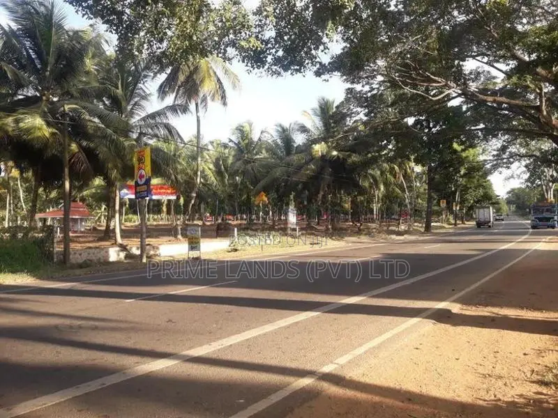 ව්‍යාපාරික හා නේවාසික බිම් කොටස් විකිනීමට අඹගස්වැව