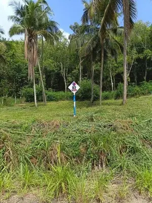 නාරම්මල ඉඩමක් විකිණීමට