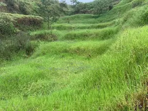 Lands for Sale in Ambewela