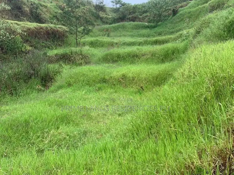 Lands for Sale in Ambewela