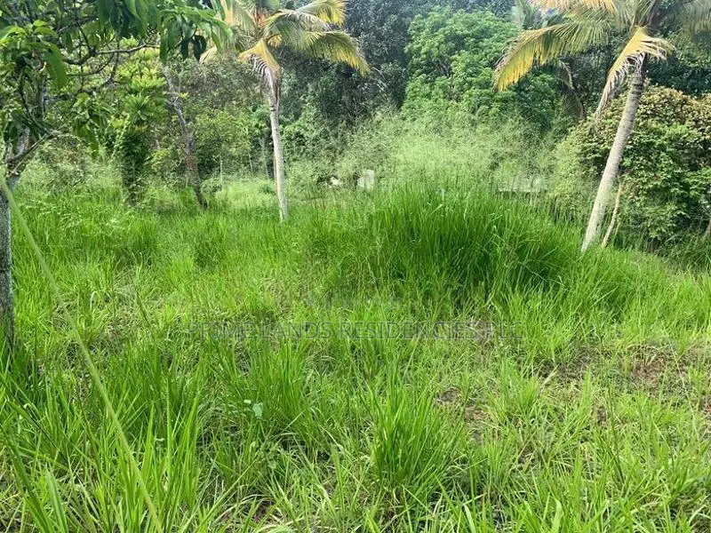 Lands for Sale in Ambathanna