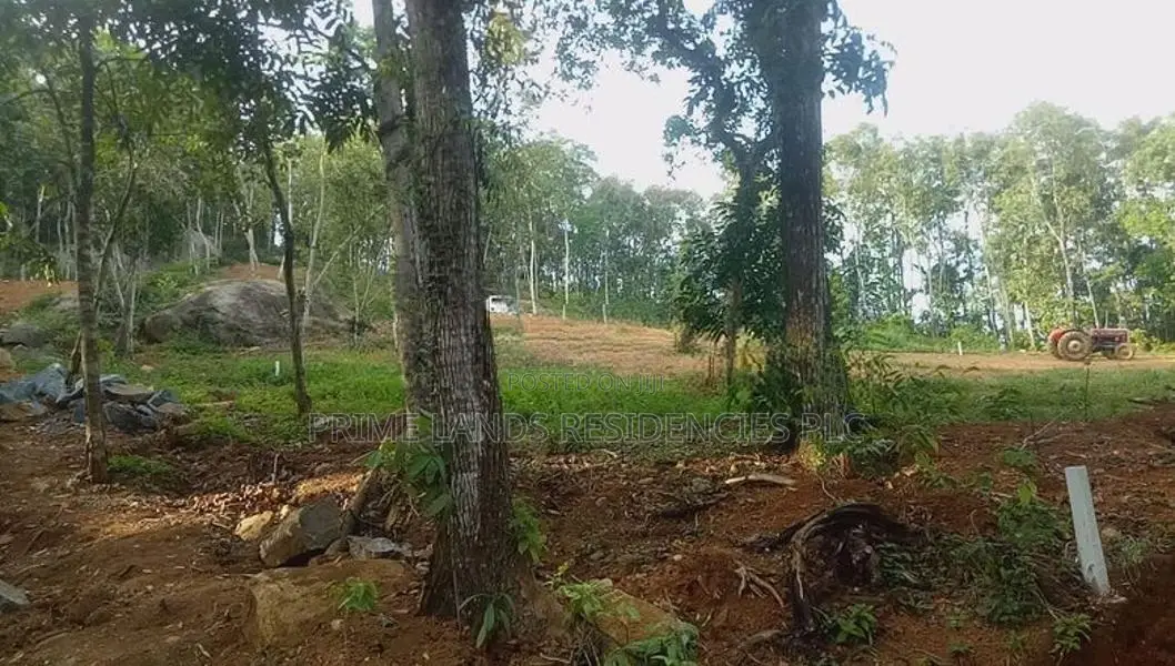 Lands for Sale in Nelumdeniya