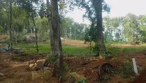 Lands for Sale in Nelumdeniya