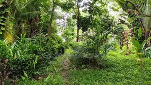 Waterfront Land in Bolgoda