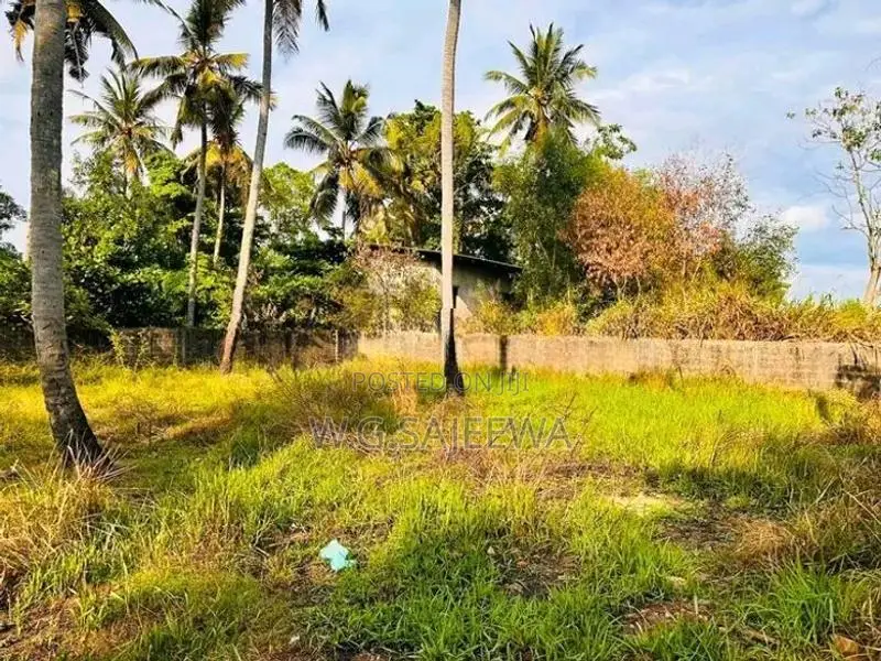 Valuable Land for Sale in Ja Ela