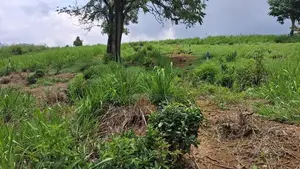 Beautiful Land for Sale in Pussellawa