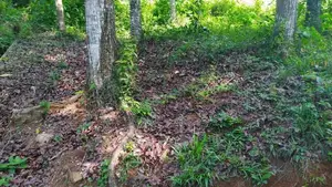 Land for Sale in Nelumdeniya