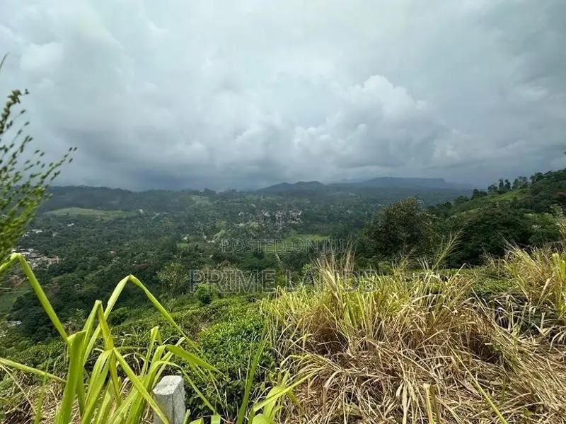 Land for Sale in Kandy Pussellawa