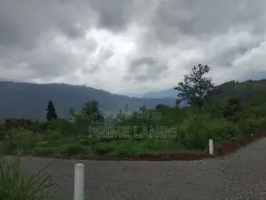 Valuable Land for Sale in Kandy Nillabe