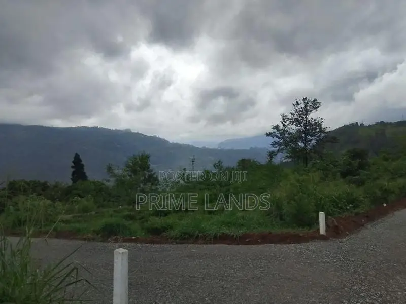 Valuable Land for Sale in Kandy Nillabe