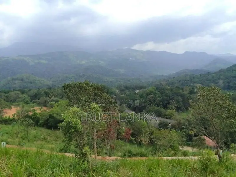 Prime Land for Sale in Matale
