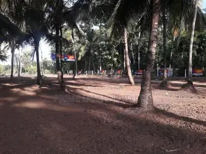 ව්‍යාපාරික හා නේවාසික බිම් කොටස් විකිනීමට අඹගස්වැව