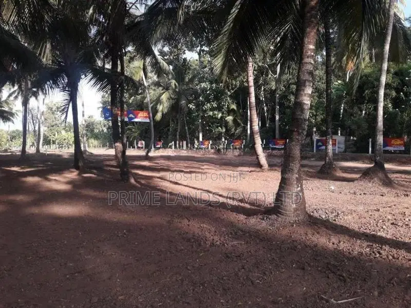 ව්‍යාපාරික හා නේවාසික බිම් කොටස් විකිනීමට අඹගස්වැව