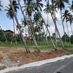 කුරුණෑගල පැල්ලන්දෙනිය හන්දියෙන් ඉඩමක් විකිණීමට